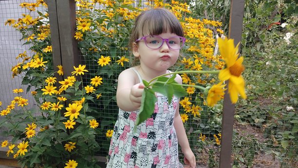 一系列小女孩与黄色花朵的照片。快乐的童年，搞笑的表情图片下载