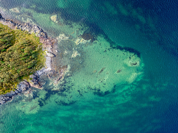 生动的海岸线航拍：清澈的绿松石水域与岩石海岸，郁郁葱葱的森林 - 抽象自然与宁静水下库存照片图片下载