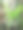 仙人掌近景。竖版照片。花园中的观赏性亚热带植物。图片下载
