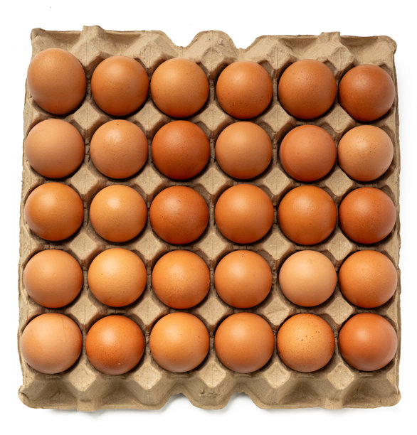 高分辨率45MP的照片，展示了装在纸板箱托盘中的新鲜鸡蛋，采用了焦点堆叠技术。图片下载