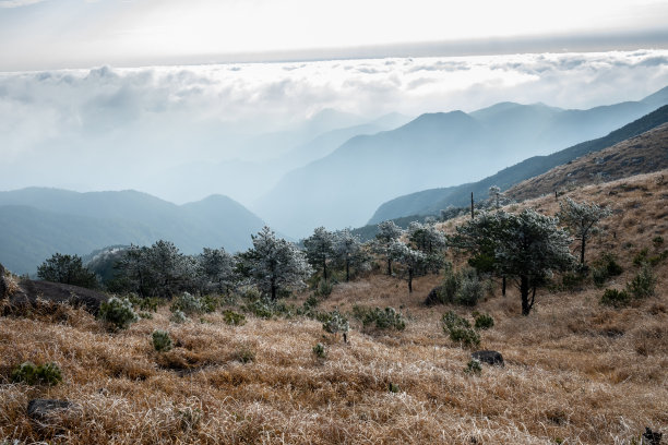 秋晨山顶上漂浮的云雾航拍照片图片下载
