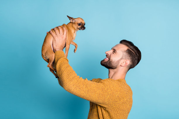 年轻快乐阳光的帅气男士侧面照片，手中抱着吉娃娃，背景为蓝色。图片下载