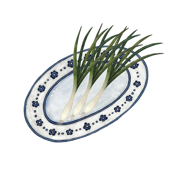 蓝白相间的椭圆形盘子水彩插图，边缘装饰着花卉图案，上面放着一束束青葱，背景为白色。质朴而迷人，完美适合农场到餐桌的设计、春季主题和烹饪插图。手绘风格。图片下载