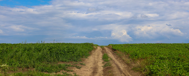 广阔的乡村风景，绿色的田野和地平线上一排树木，在阴云密布但明亮的天空下。这幅宁静的场景突显了自然的广袤和夏日的宁静，适合农业、风景或生态主题的图片。图片下载