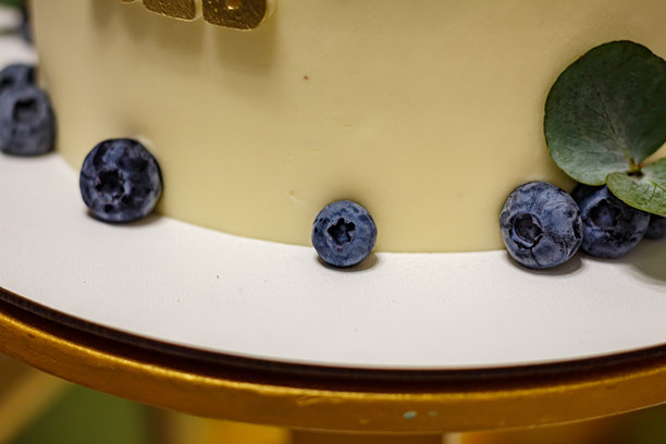 巧克力糖霜蛋糕，上面装饰有蓝莓和绿色叶子 - 节日甜点的特写照片图片下载