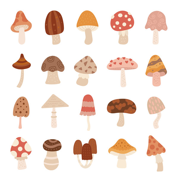 斯堪的纳维亚风格的蘑菇组合，形状各异，适用于森林主题的季节性插图，灵感来自野生自然和林地环境，适合您的创意设计项目。图片下载