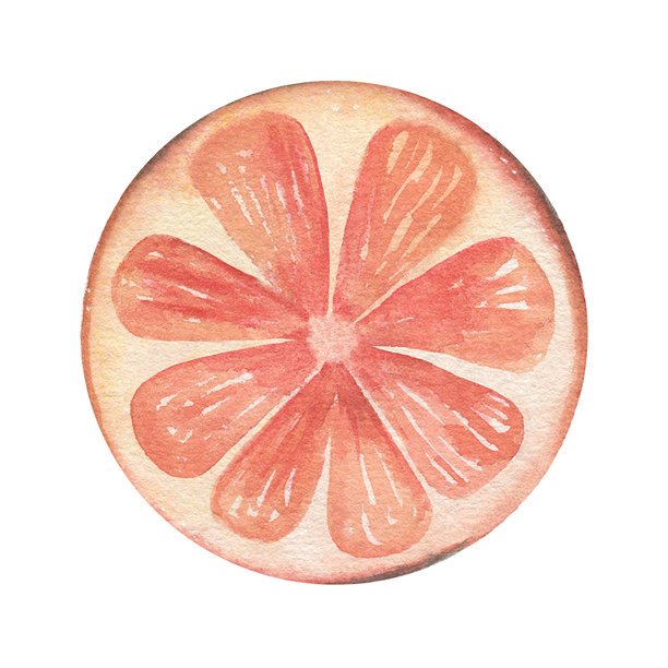 橙子片，热红酒的成分。手绘水彩插图，描绘了圣诞装饰，背景为白色，适用于冬季食谱、节日贺卡、品牌推广和温馨厨房设计。图片下载