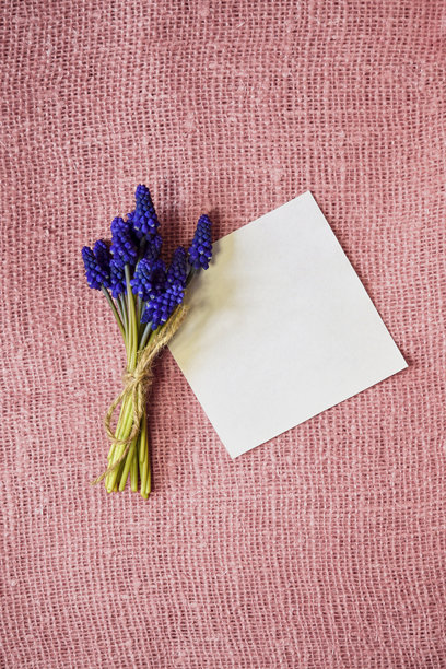 一束葡萄风信子。白色布单和用麻绳绑好的精致春花束，放在粉色麻布上。特写。俯视图，样板。选择性对焦。留白。竖版照片。图片下载