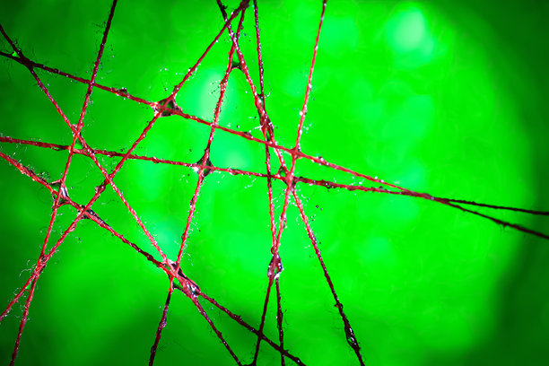 湿润的线条。带水滴的彩色抽象湿线。微距照片。选择性对焦。图片下载