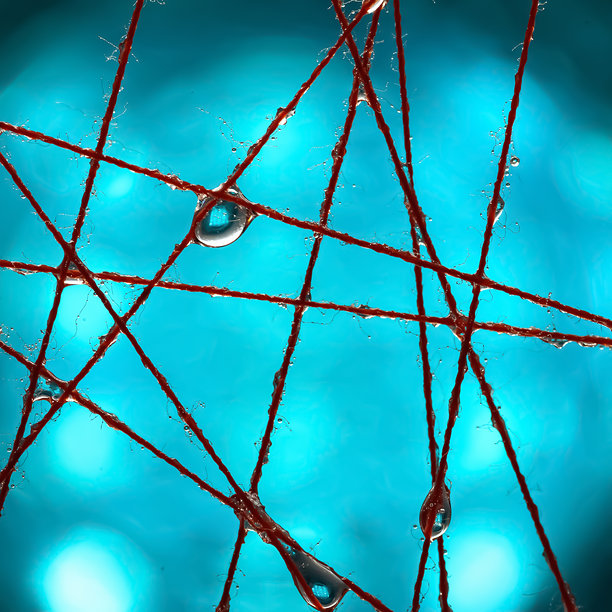 湿润的线条上挂着水滴。由湿润线条构成的色彩抽象。微距照片。选择性对焦。图片下载