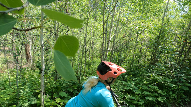 女子在森林小径上骑电动车图片下载