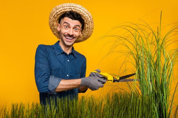 园丁在鲜艳的黄色背景下，戴着帽子用剪刀修剪草坪的照片肖像图片下载
