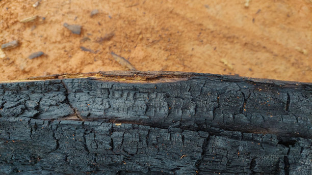 烧焦的木头特写照片。图片下载