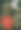 圣诞背景素材。带有一品红、槲寄生和白鸽的圣诞框架素材。横幅，圣诞卡片。图片下载