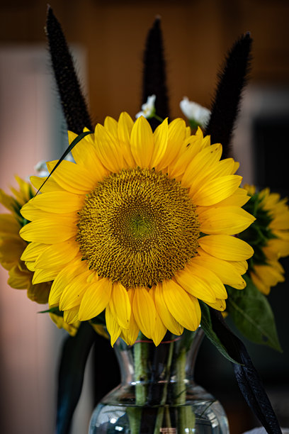 清晰花瓶中的向日葵花束的细致特写照片，展示了鲜艳的向日葵花头和配衬的花卉元素。图片下载