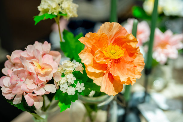 假室内植物花卉的照片，背景模糊图片下载