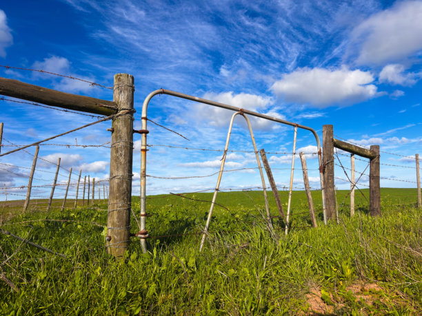 农场大门与绿草。风景照片。南非户外。图片下载