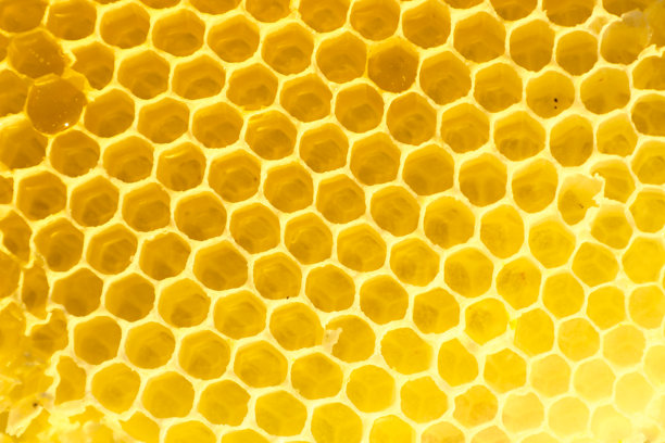一张特写镜头，展示了由许多六边形蜂窝组成的金黄色蜂巢。这张微距照片展现了完美的自然几何形状和充满光线的纹理。图片下载