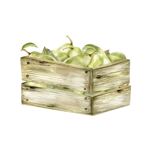 水彩画手绘绿梨在木箱组成。乡村风格的夏季水果包装，标签，标志设计插图。食物插图剪贴艺术图片下载
