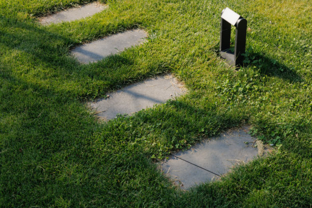 住宅后院的花园景观、开花植物和绿植照片图片下载