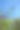住宅后院的花园景观、开花植物和绿植照片图片下载