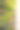 住宅后院的花园景观、开花植物和绿植照片图片下载