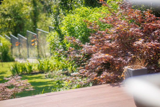 住宅后院的花园景观、开花植物和绿植照片图片下载