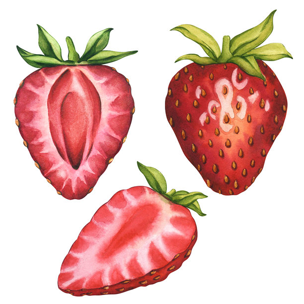 一组成熟多汁的草莓。完整的草莓和切成两半的草莓。水彩插图，切开的草莓孤立展示。成熟的切片草莓适合用于茶、果酱或化妆品标签。图片下载