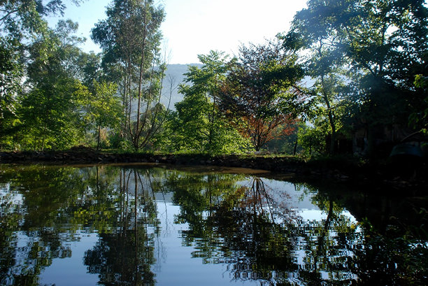 黎明时分的水坝照片图片下载