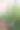 一个温室，里面新鲜的黄瓜和其他植物在良好的条件下生长。这张照片传达了耕作和健康饮食的氛围。图片下载