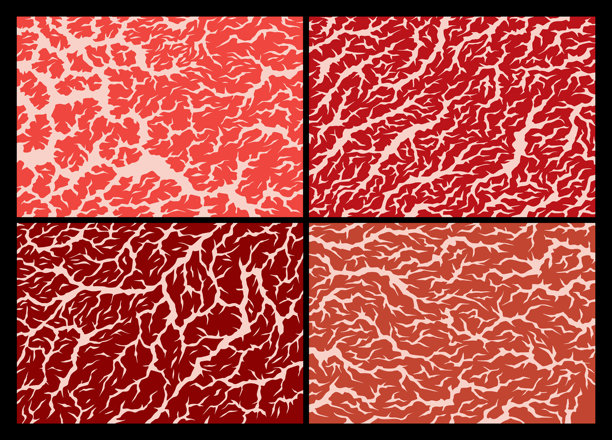 大理石纹理的肉类套装。用于烹饪的新鲜生肉片，陈年牛排的纹理。优质牛肉背景的特写，展示其结构和纹路。平面卡通矢量插图。图片下载