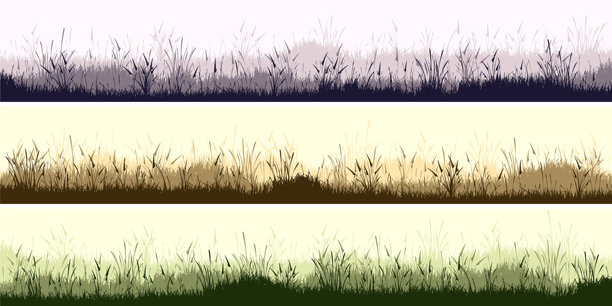 草地轮廓与平原上的植物。全景夏季草坪景观，包含草本植物和各种杂草。草本边框，框架。自然背景。绿色横幅。矢量插图。图片下载