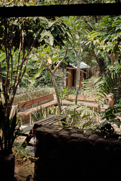 一张垂直拍摄的照片通过郁郁葱葱的绿色植物框住了一个宁静的乡村场景。图片下载