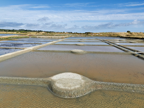 法国布列塔尼地区的格兰德著名海盐沼泽，鸟瞰图，航拍照片图片下载