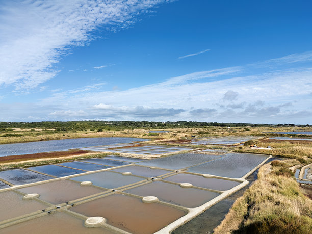 法国布列塔尼的格兰德著名海盐沼泽，鸟瞰图，航拍照片图片下载