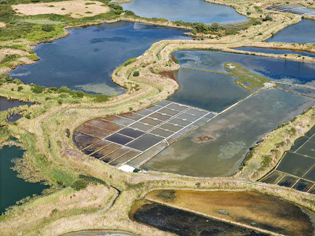 法国布列塔尼地区的格伦德著名海盐沼泽，鸟瞰图，航拍照片图片下载