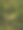 稻田特写照片图片下载
