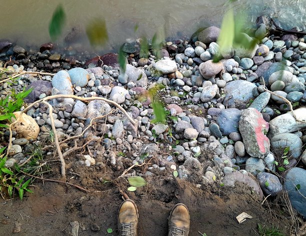 从上方拍摄的照片，绿色叶子落在一个人靴子上，背景是丛林环境。图片下载