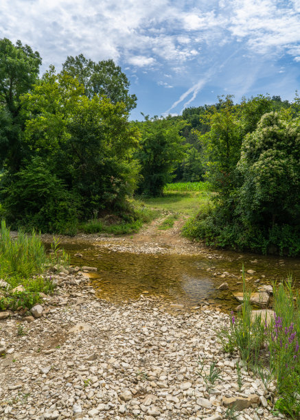 克罗地亚郁郁葱葱的绿树和森林中蜿蜒流淌的淡水溪流。宁静而美丽的山地风景，适合生态和户外主题。图片下载