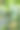 几根年轻的黄瓜带着花朵在藤上生长，绑在一起以提供支撑。它们的表皮覆盖着轻微的绒毛和水滴，突显出它们的新鲜和有机特性。这张照片展示了健康多汁的水果，准备好收获。图片下载