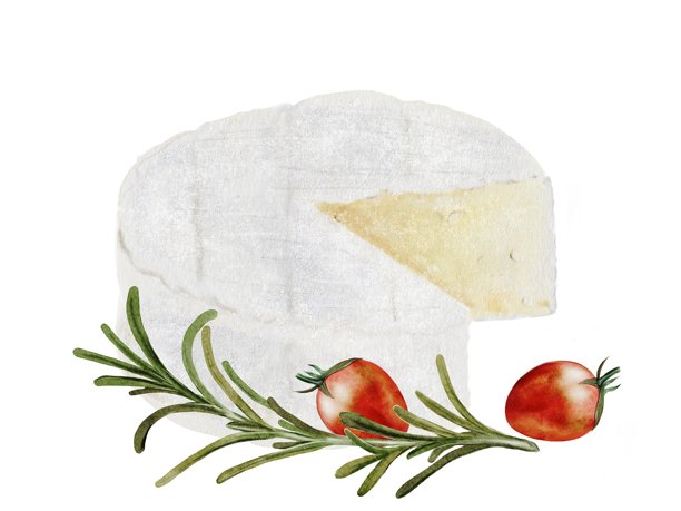 奶酪水彩画。带有樱桃番茄和迷迭香的卡门贝尔或布里奶酪图片。手绘的法国美食奶油产品插图。白色背景上的食品剪贴画。非常适合农场有机产品的包装或餐厅菜单。图片下载