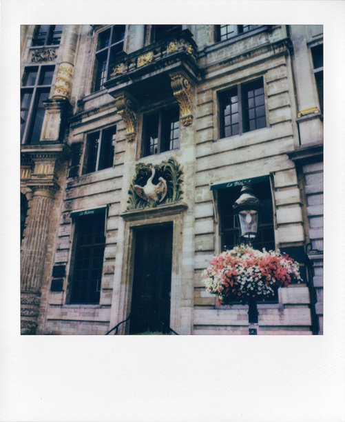 布鲁塞尔大广场的拍立得照片图片下载