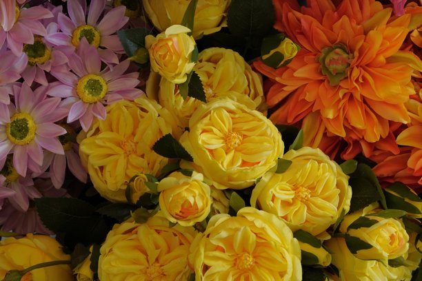 一组生机勃勃的五彩花朵在自然光下盛开，适合春季或夏季主题、健康与美容图片、贺卡、婚礼或自然专题。图片下载