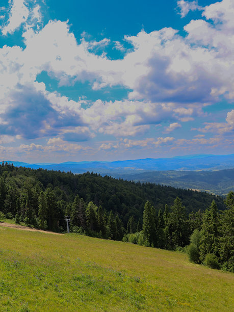 这张照片捕捉了被茂密森林覆盖的雄伟山脉的景色，前景是一片广阔的绿色坡地。天空中的白云为氛围增添了深度。图片下载