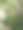 2025年夏季在佛罗里达中部户外郁郁葱葱的植物和树木的胶卷照片图片下载