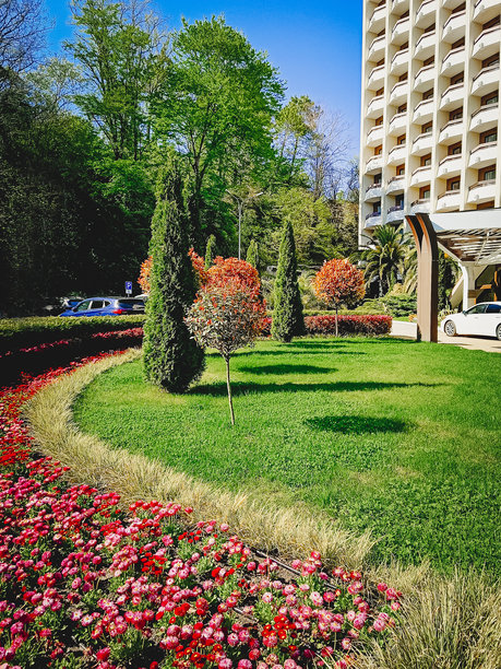 美丽的景观设计。绿草如茵，装饰性的树木和花卉。竖版照片。图片下载