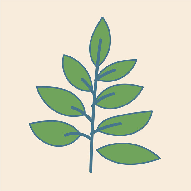 卡通绿色植物枝条插图。适合儿童的图片卡片设计图片下载