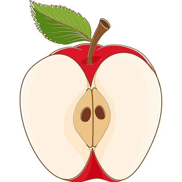 半个红苹果切开的插图图片下载