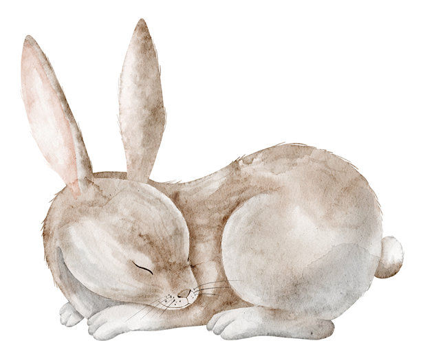 水彩画中的兔子，柔软的毛发，正在安静地睡觉。适合儿童贺卡和邀请函的森林动物插图。兔子的艺术作品适用于婴儿房海报、睡前艺术作品或秋季项目。图片下载