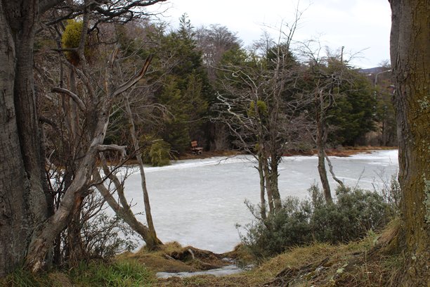 冬季图片图片下载